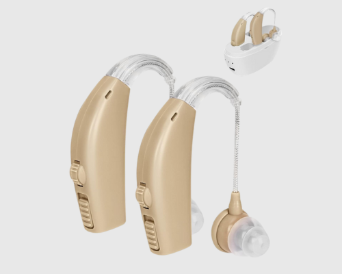 Behind the ear (BTE)